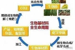 TDI與生物基材料市場(chǎng)動(dòng)態(tài)解析 價(jià)格走勢(shì)與銷售趨勢(shì)報(bào)告