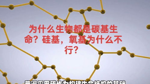 為什么生物都是碳基生命 硅基,氧基為什么不行 碳基生物